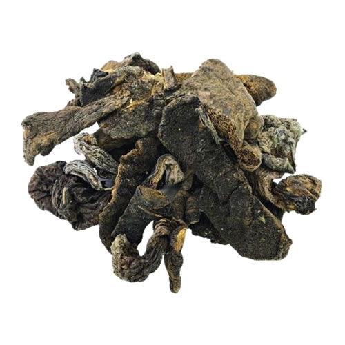 HONGOS DE PINO X KG